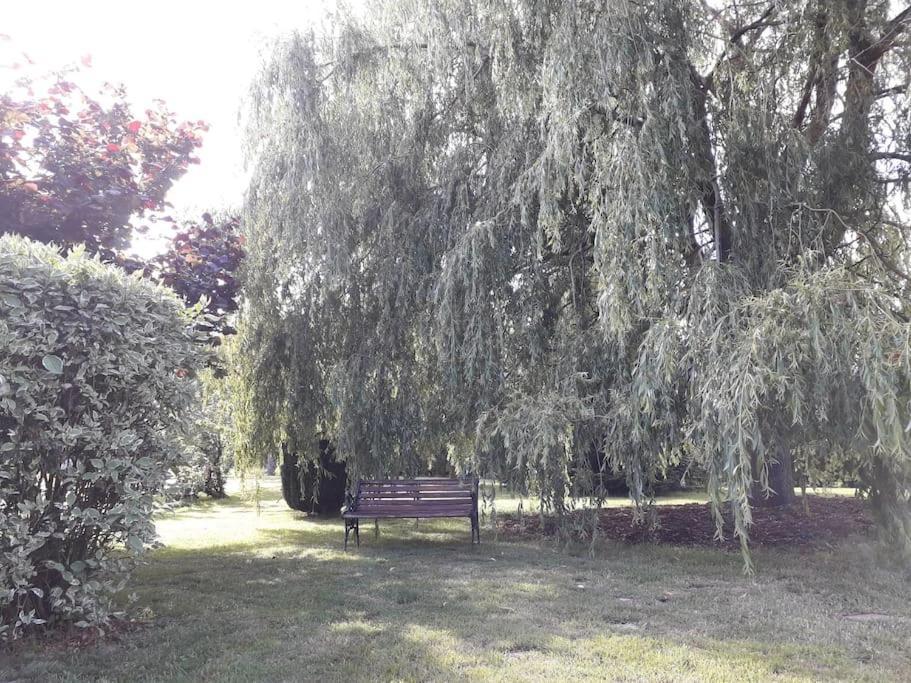 Un Petit Coin De Paradis Clairfontaine Экстерьер фото